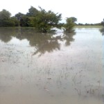 Oshana Flooding 2011