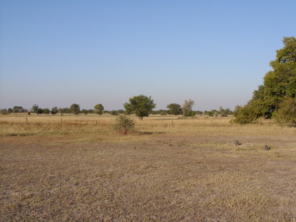 Landscape in Oshana Region