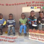 Sustainche’s Farm Project Poster The Next Generation