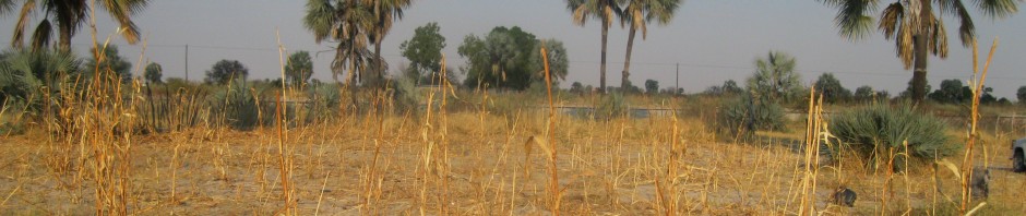 The Sustainche Farm™ Project