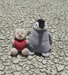 Sustainche and Lisa on Etosha Pan - Northern Namibia