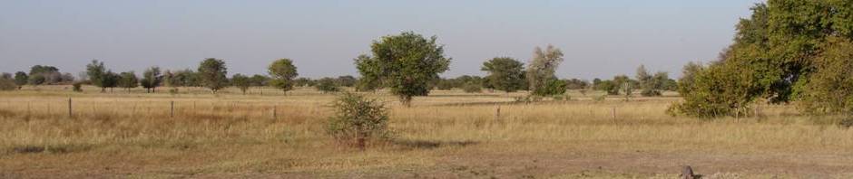 Landscape in the Oshana Region_small