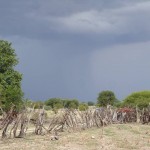 Rain Clouds at Sustainche Farm