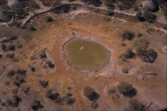 Okaukuejo Waterhole 1992_2.jpg