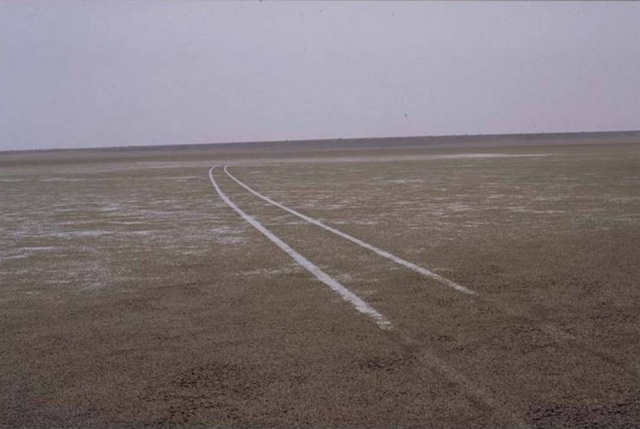 Etosha grass savanna plains and Etosha Pan 2