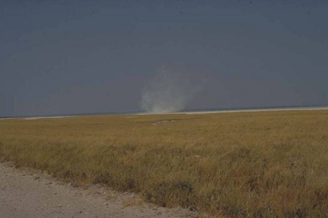 Etosha grass savanna plains 5
