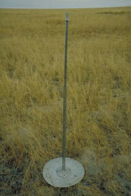 Etosha grass savanna plains 2.jpg