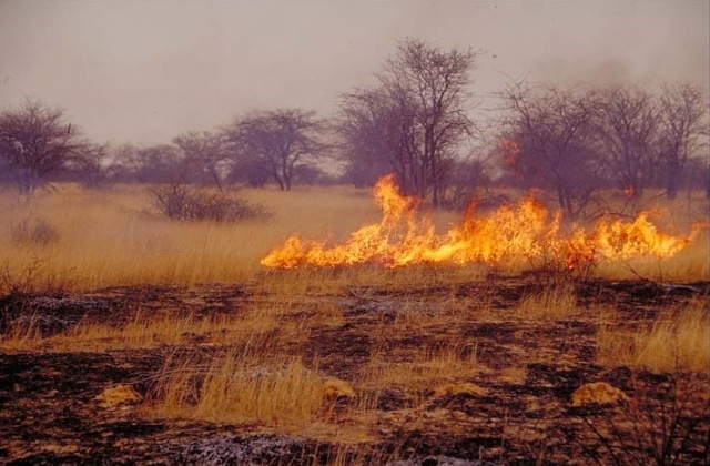 Fire in Etosha I Fire in Etosha I
