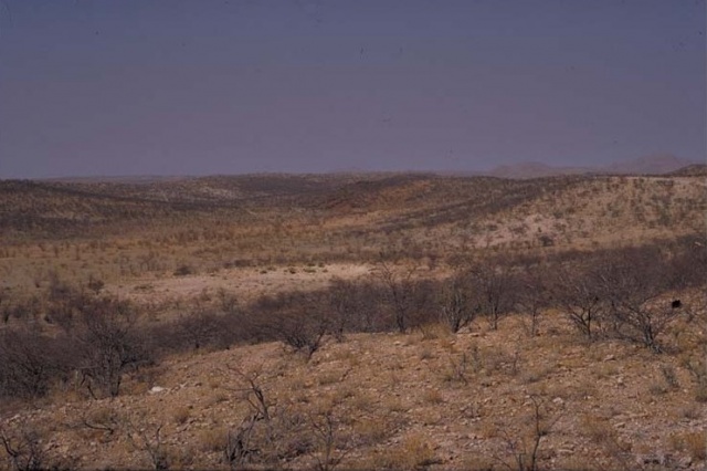 Western Etosha V Western Etosha V