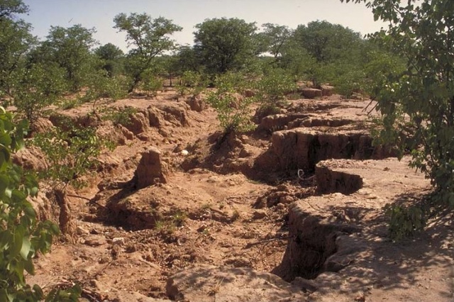 Western Etosha VII Western Etosha VII