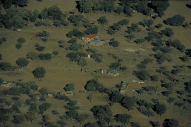 Western Etosha - Damaraland I Western Etosha - Damaraland I