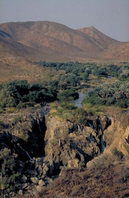 Zoom in Western Etosha - Damaraland IX