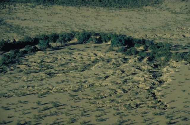 Western Etosha - Damaraland V Western Etosha - Damaraland V