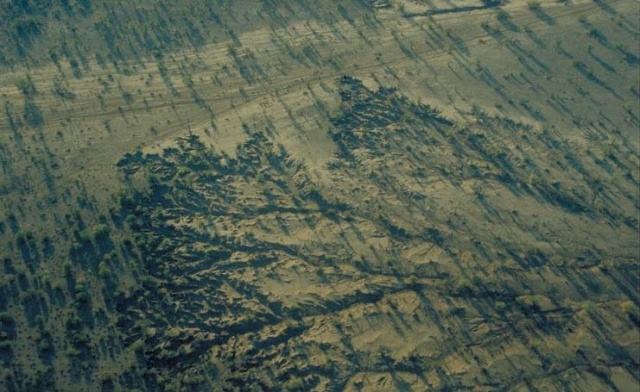 Western Etosha - Damaraland VI Western Etosha - Damaraland VI