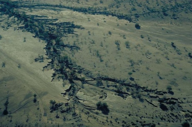 Western Etosha - Damaraland VII Western Etosha - Damaraland VII