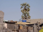 Parents-Place-9_2