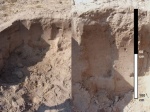 Farm-Harvested-Mahangu-Field_Cambic-Arenosol-Soil-17_3