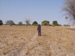 Farm-Harvested-Mahangu-Field_Tatekulu-Fillipus-17_4