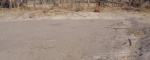 Farm-Pounding-Floor-19_1