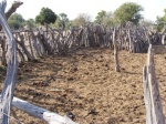 Farm-Cattle-and-Goats-Home-20_2