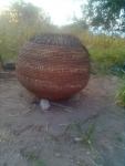 Tatekulu Fillipus' Granary Basket 2