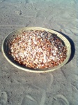 Owambo marula nuts