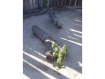 Shelter-Hut-Reception-Area-1-Flowers