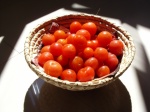 Owambo tomatoes