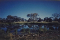 Okaukuejo Waterhole 1959