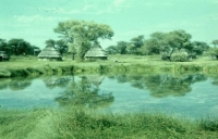 Okaukuejo Waterhole 1950ies