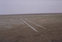 Etosha grass savanna plains and Etosha Pan 2