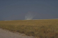 Etosha grass savanna plains 5