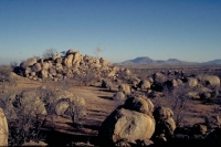 Western Etosha - Damaraland IV